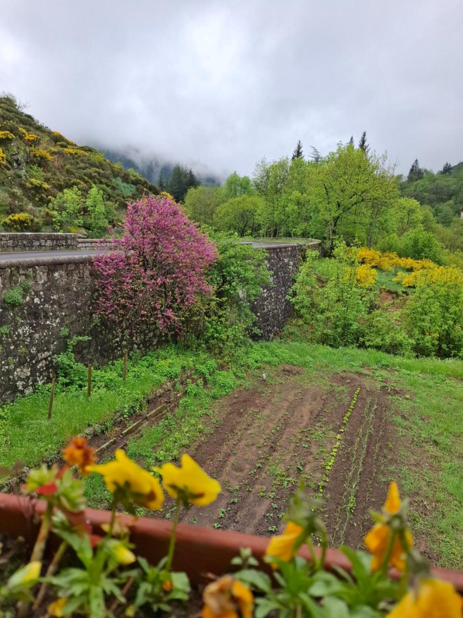 Auberge Arthea Laviolle Bagian luar foto