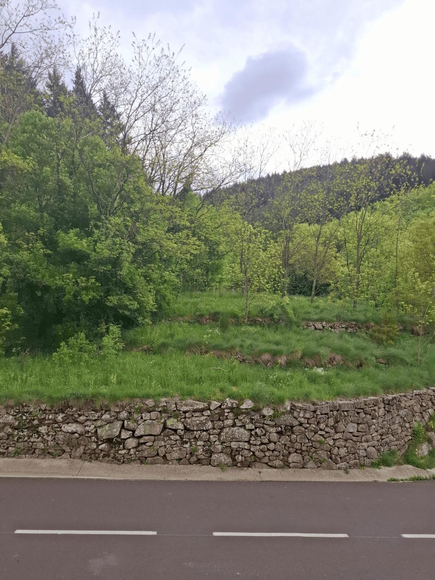 Auberge Arthea Laviolle Ruang foto