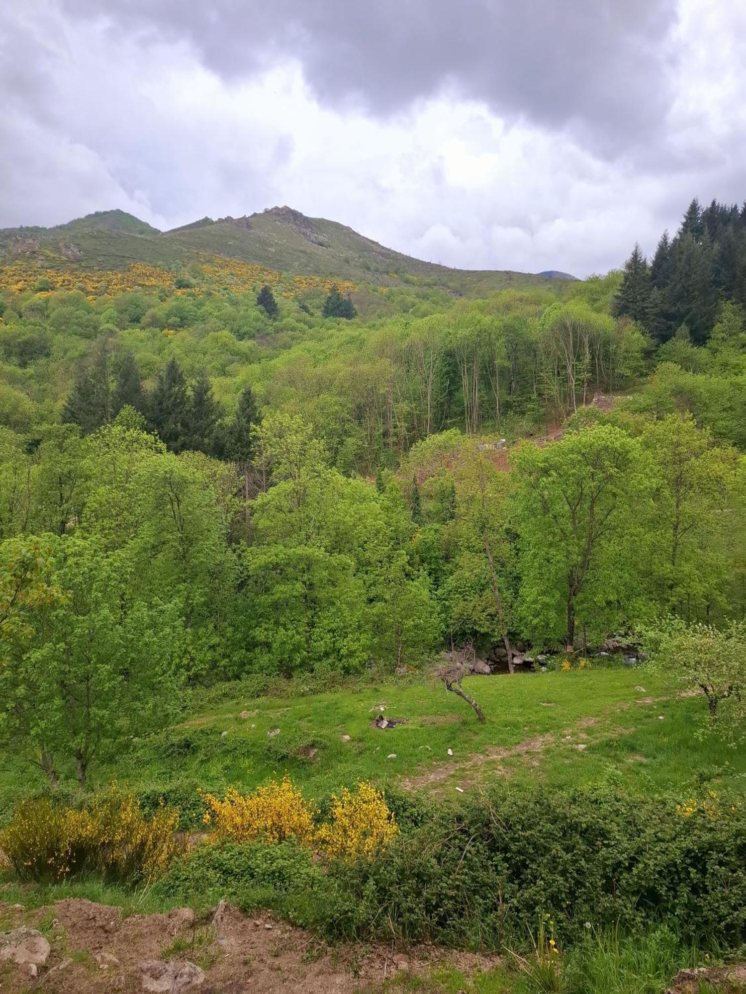 Auberge Arthea Laviolle Ruang foto