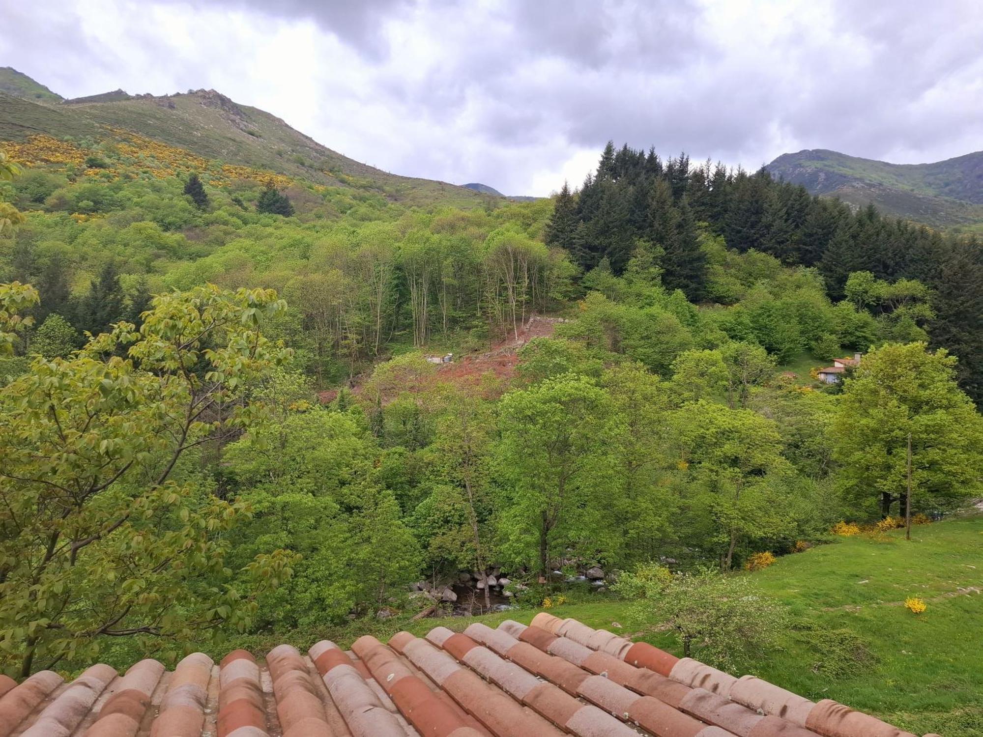 Auberge Arthea Laviolle Ruang foto